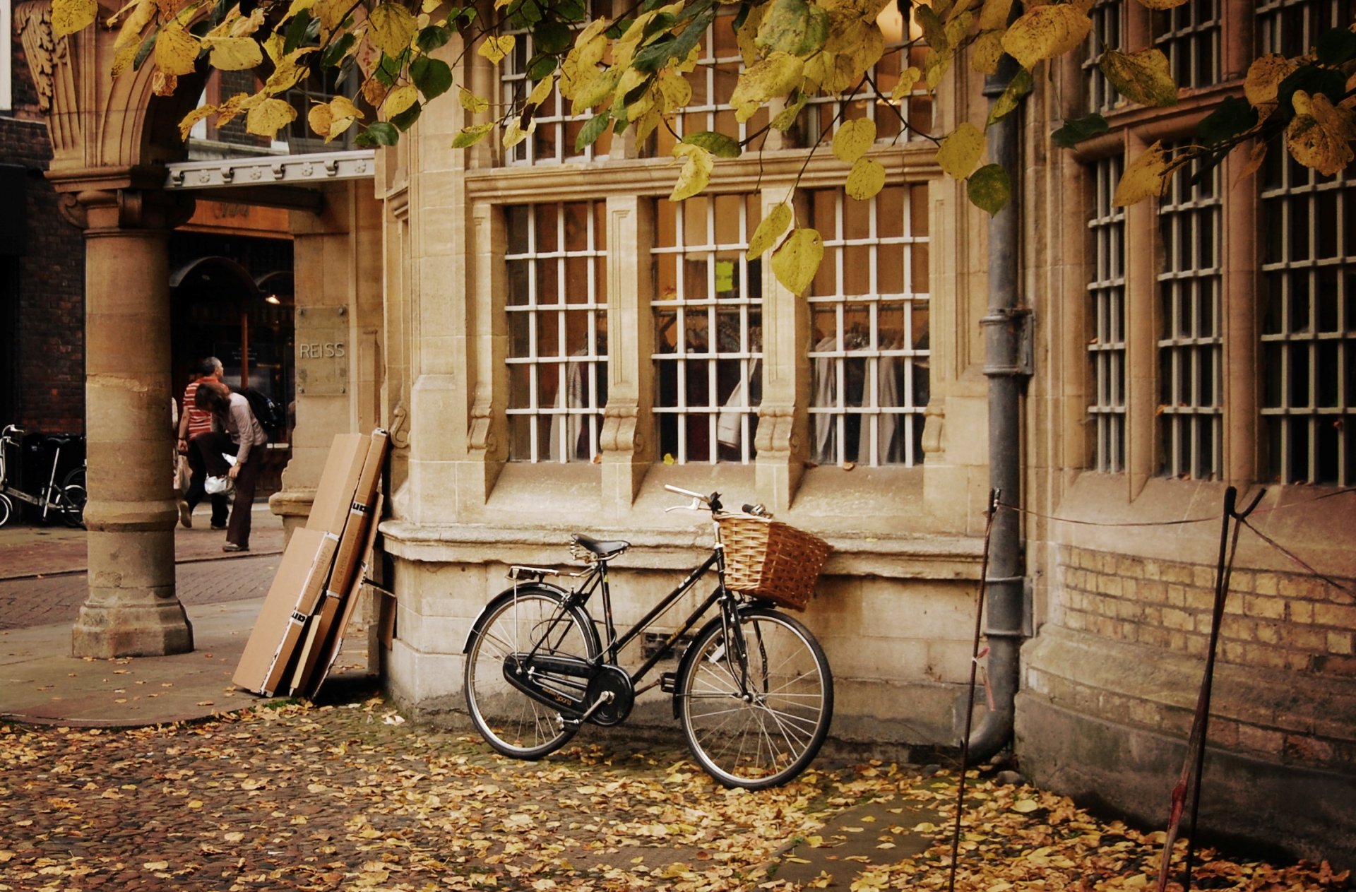 varie bicicletta ruota cestino cestino natura autunno foglie giallo caduta delle foglie alberi casa finestre persone sfondo carta da parati widescreen schermo intero widescreen widescreen