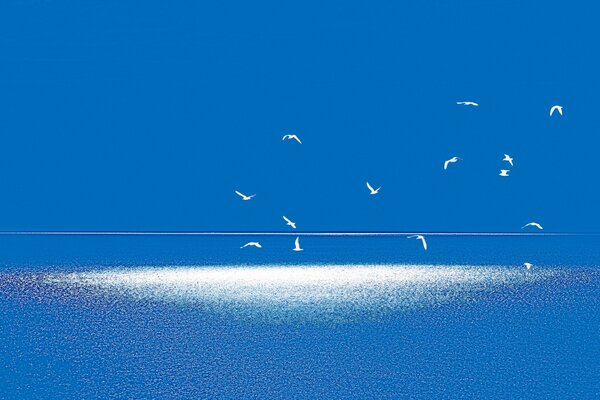 Paesaggio blu e bianco con uccelli volanti