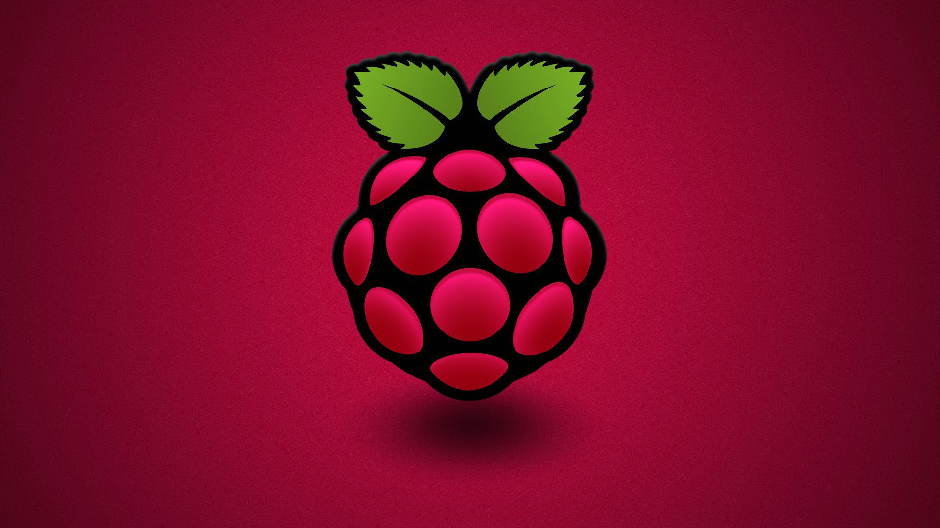 bacca lampone foglia colore computer raspberry pi