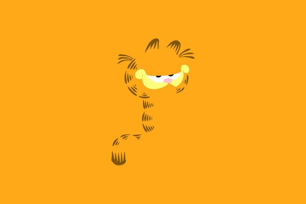 Gatto Garfield incompleto sul campo arancione