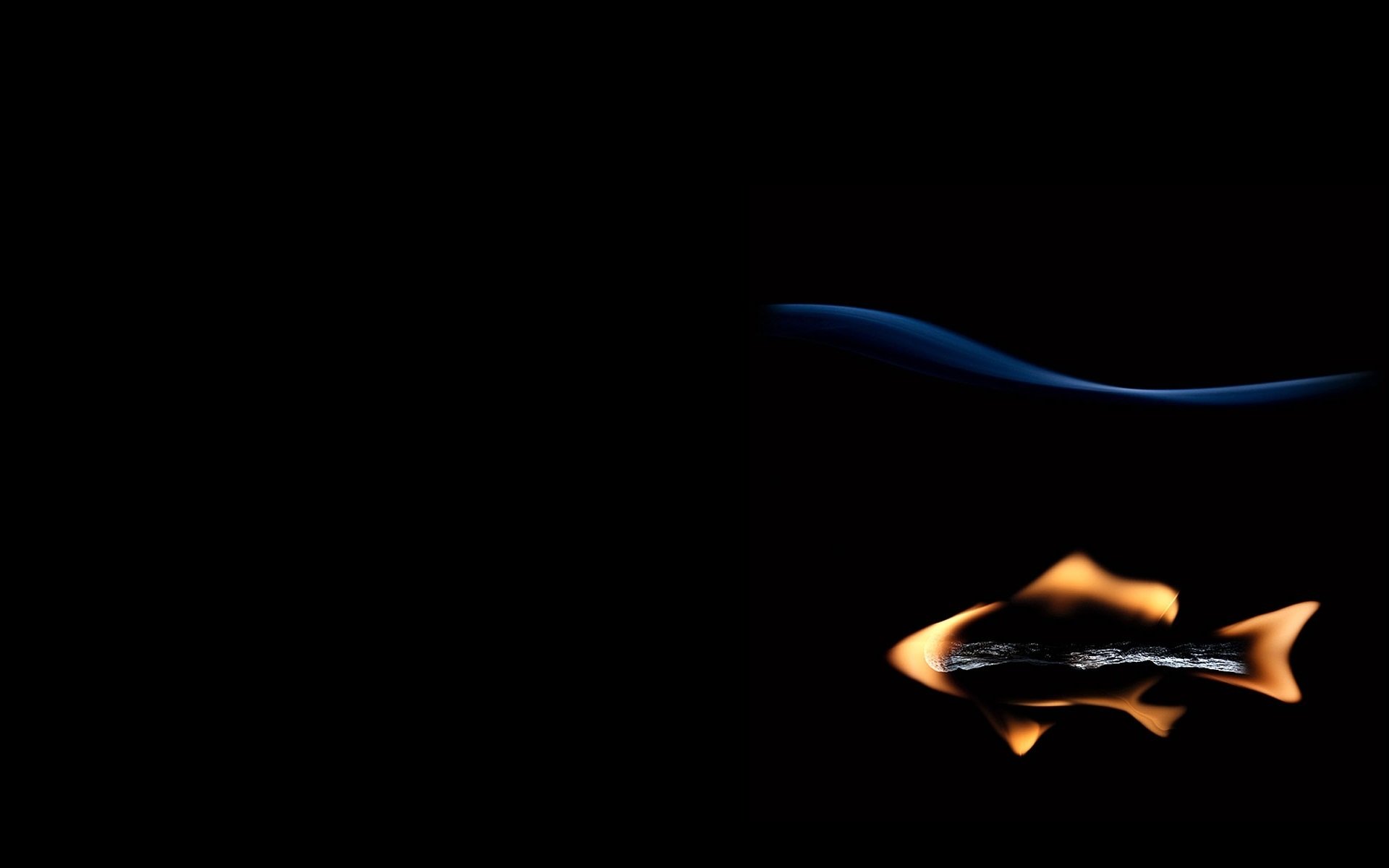 creativo pesce pesce fiammifero fuoco sfondo nero autore stanislav aristov