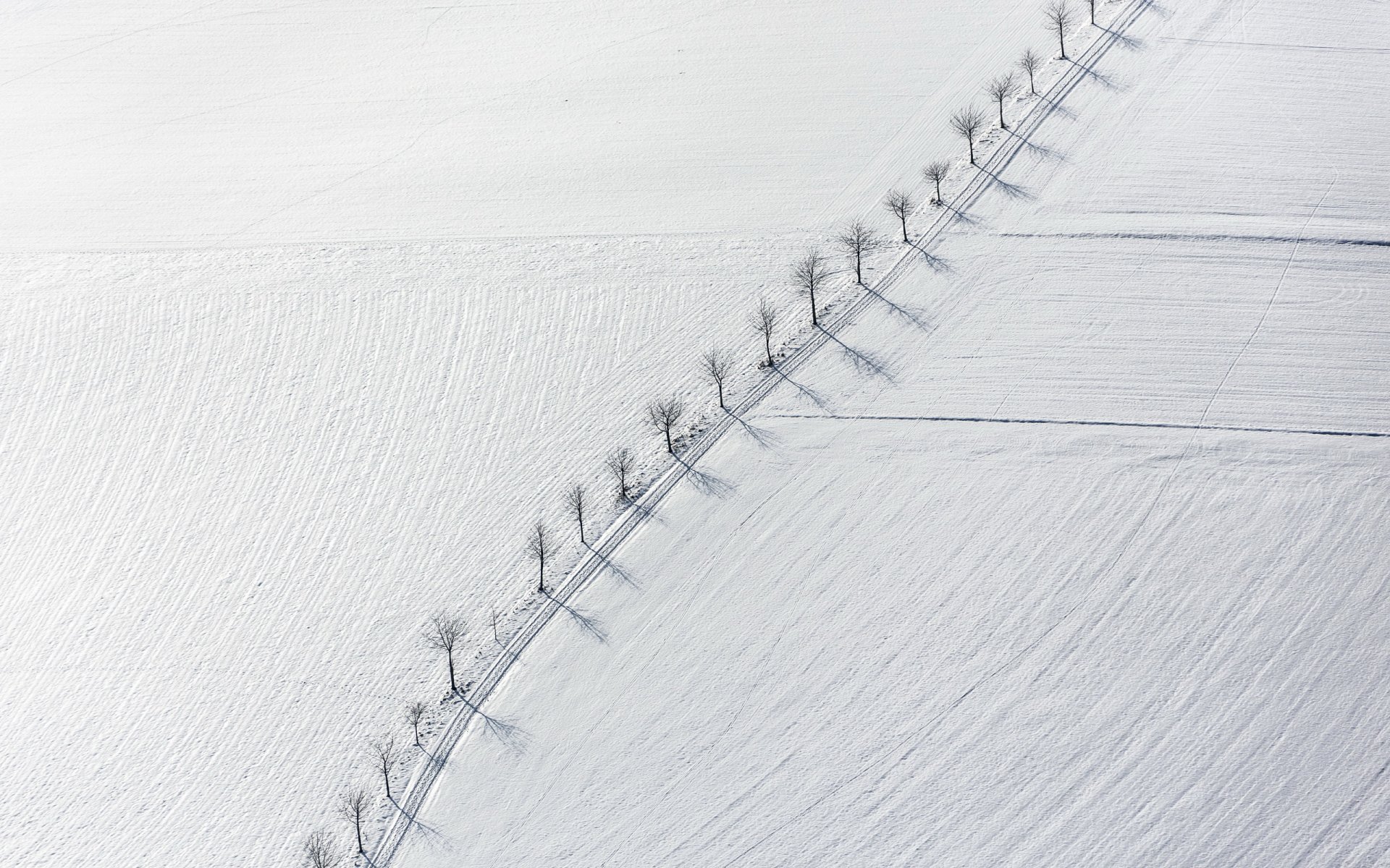 campo alberi neve paesaggio minimalismo