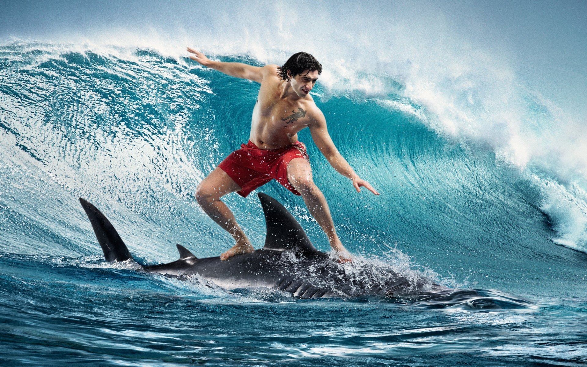 ragazzo squalo surf onda