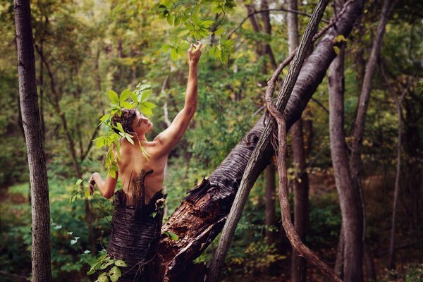 Ragazzo raffigura un albero nella foresta