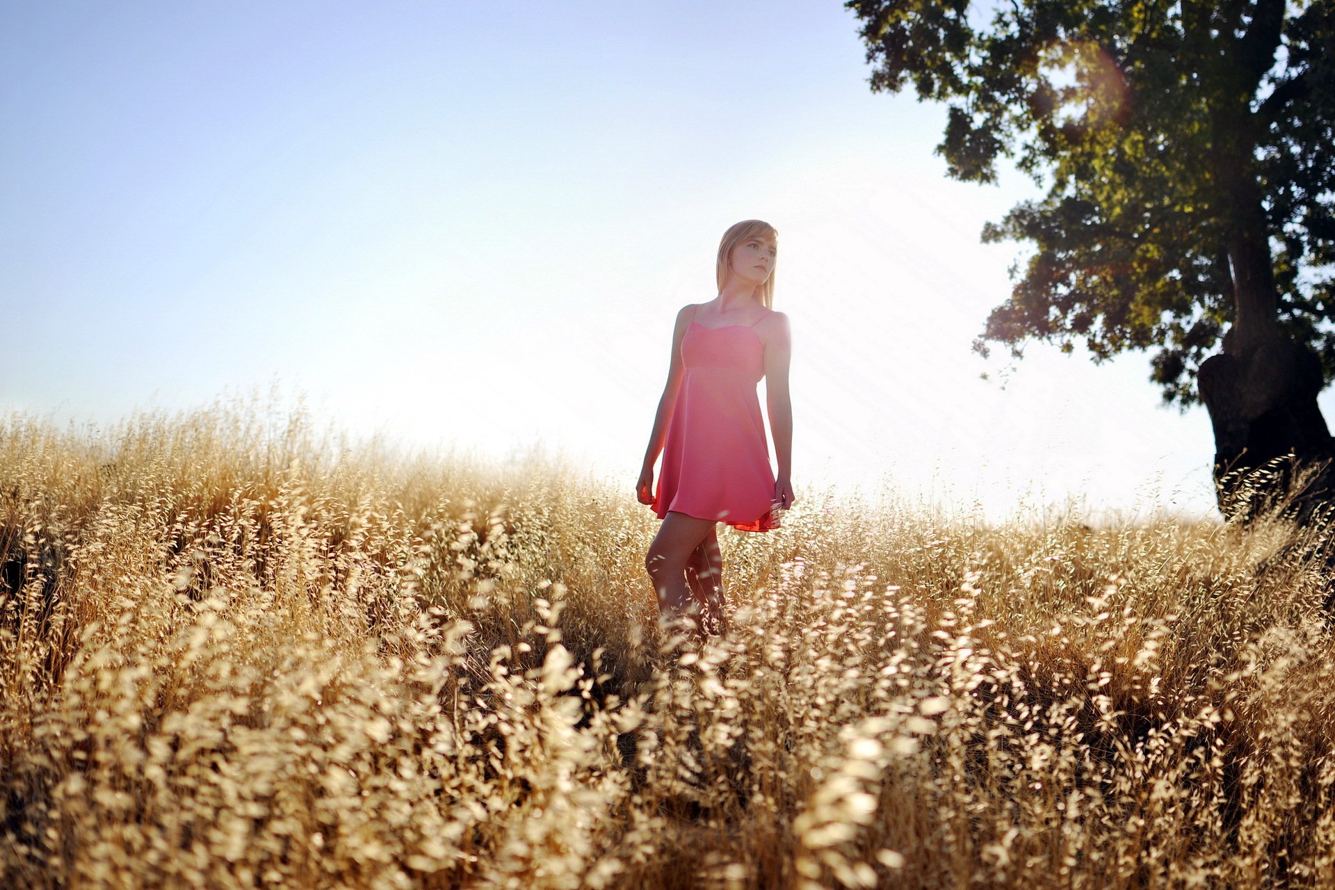 ragazza estate luce campo