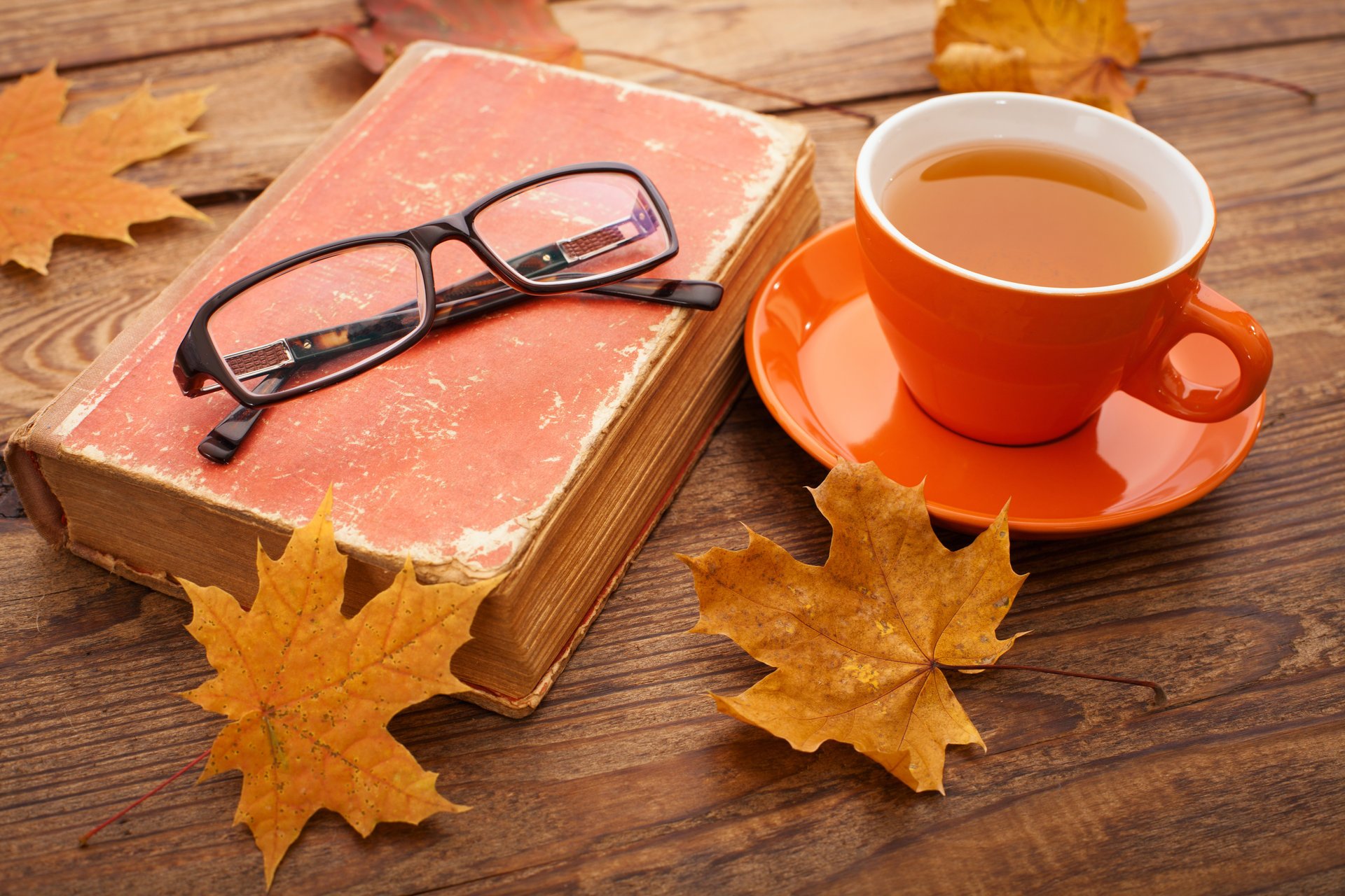 autunno autunno foglie acero tazza tè foglie d autunno