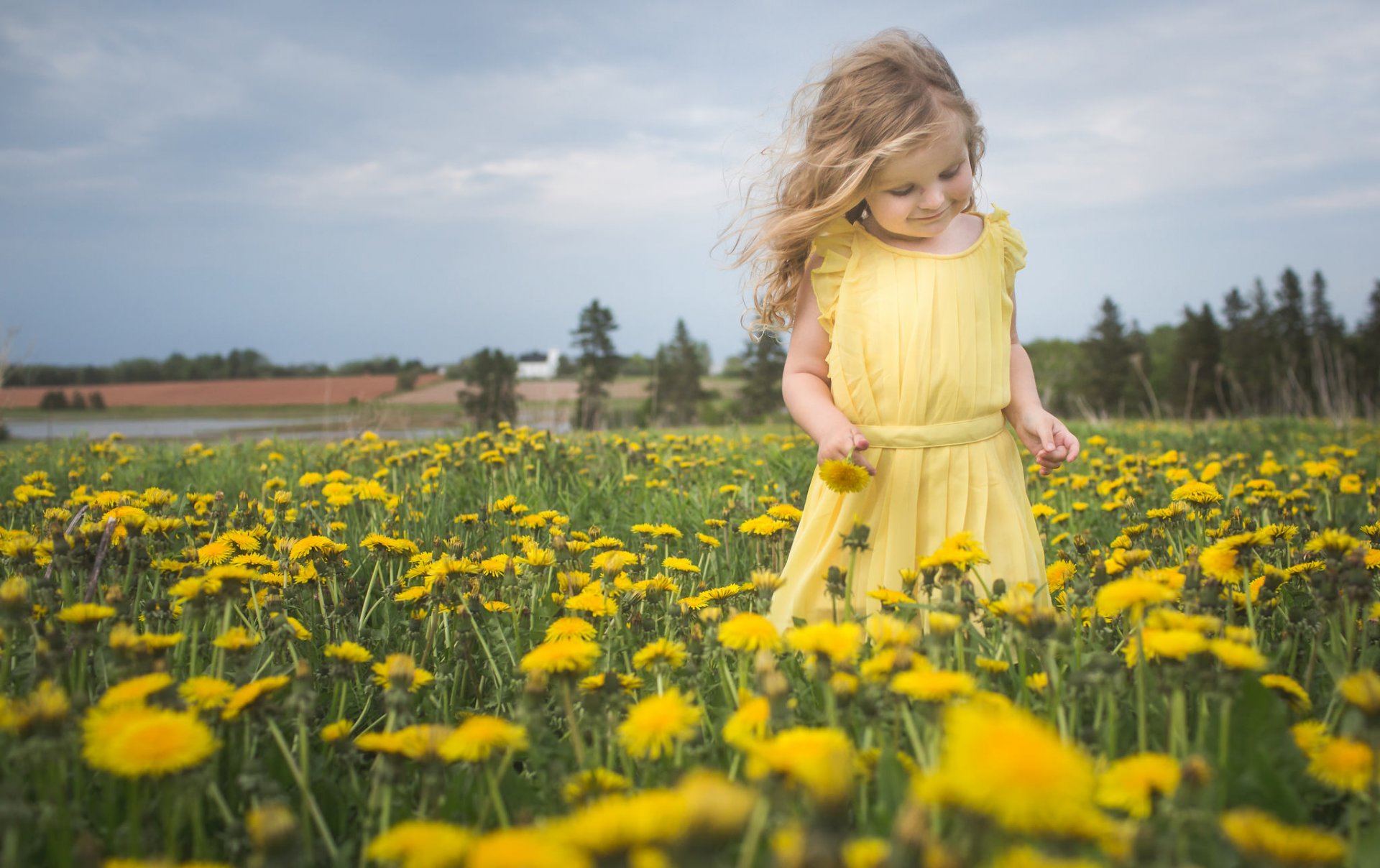 ragazza prato denti di leone fiori natura umore