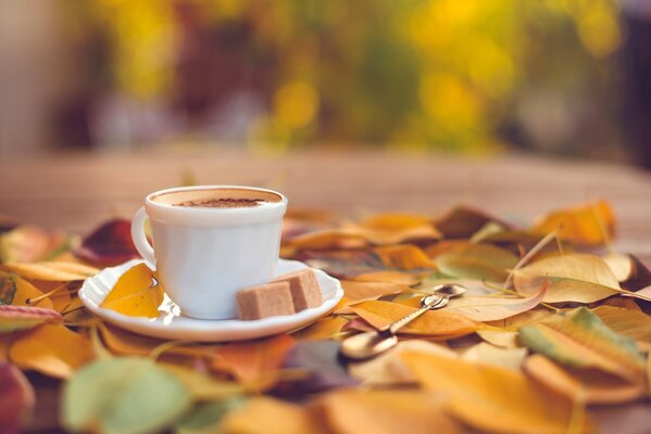 Tazza bianca con caffè e zucchero su piattino su sfondo di foglie autunnali