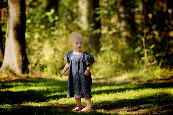 Bambino in una piattaforma in una radura della foresta