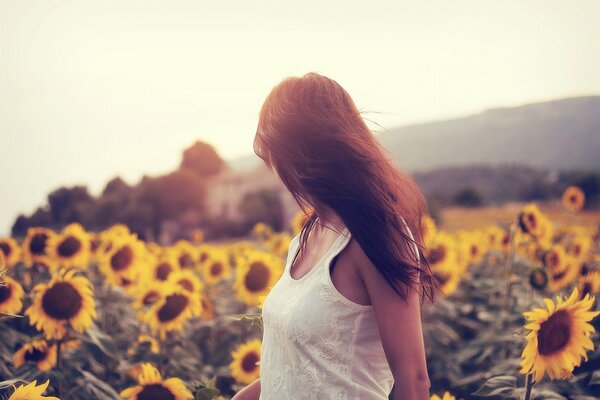 Ragazza nel campo dei girasoli gialli