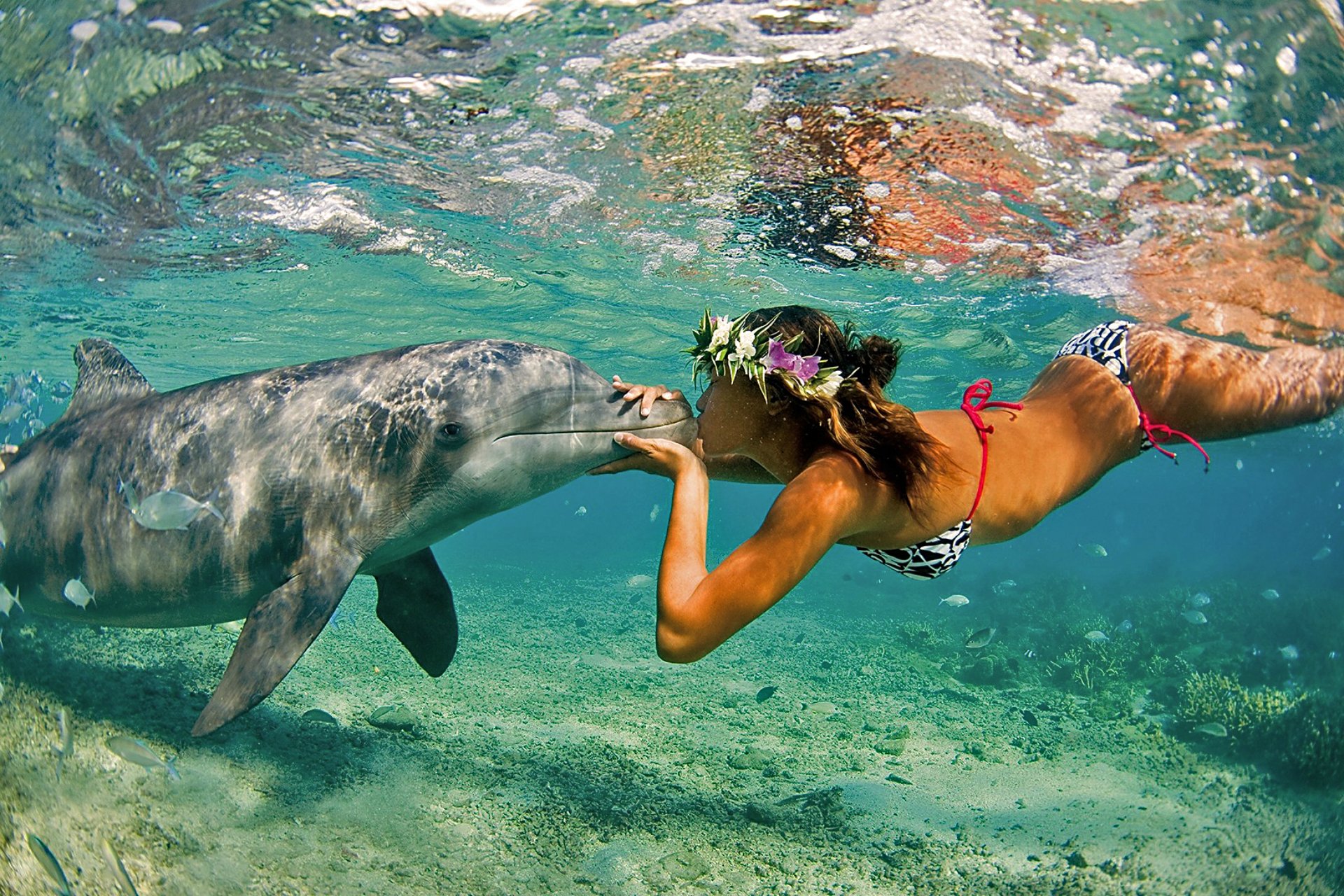 delfino ragazza oceano mare natura estate bacio amicizia coppia
