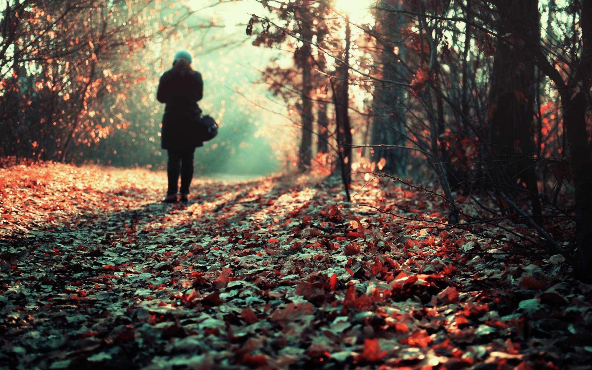 solitudine mucchio di foglie ragazza