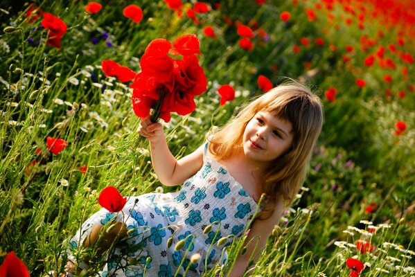 Bambina in un campo di papaveri