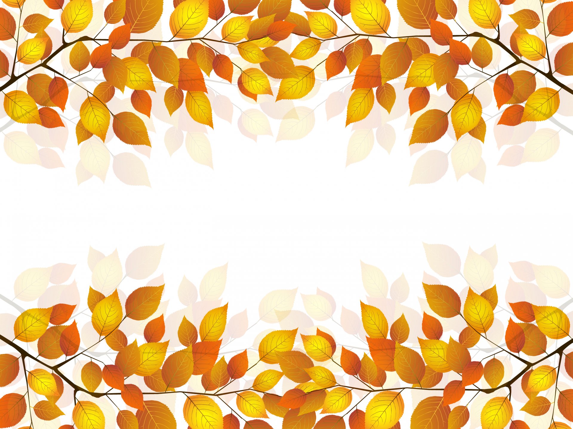 ramoscello foglie autunno sfondo bianco