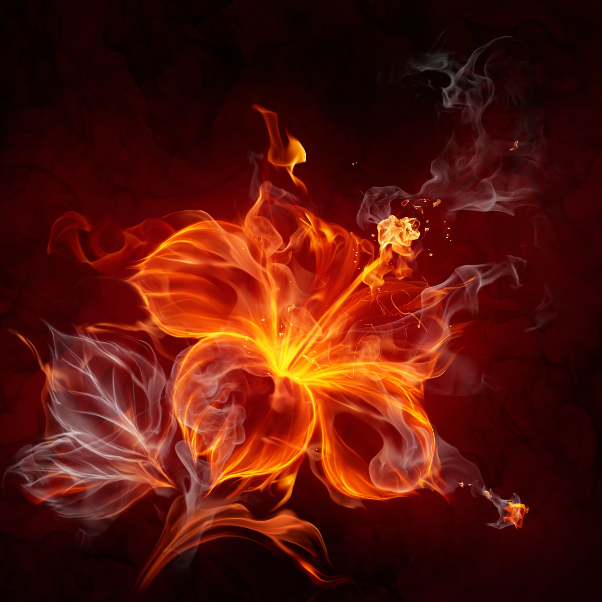 fuoco fiore astrazione