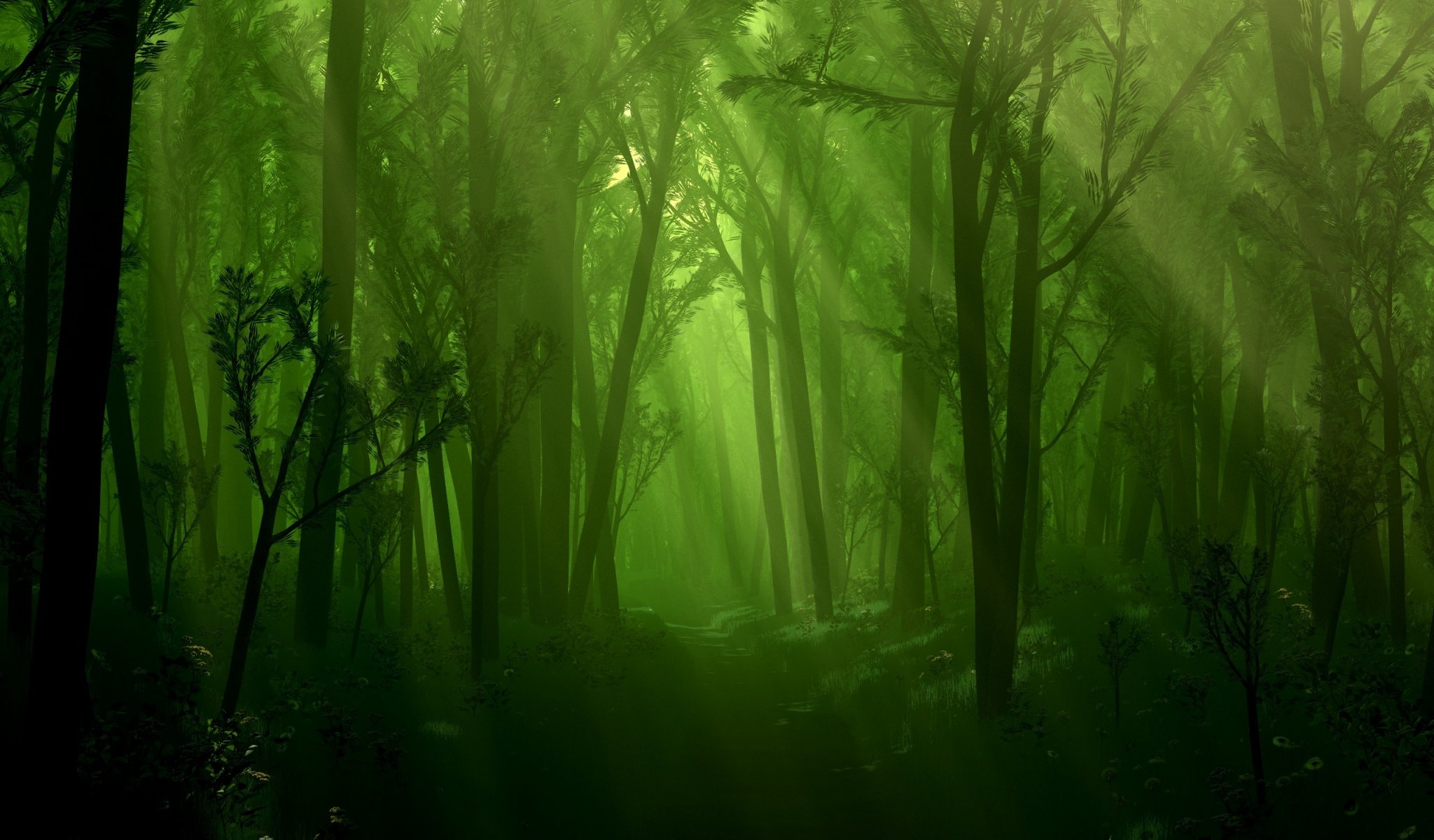 foresta ruscello luce alberi
