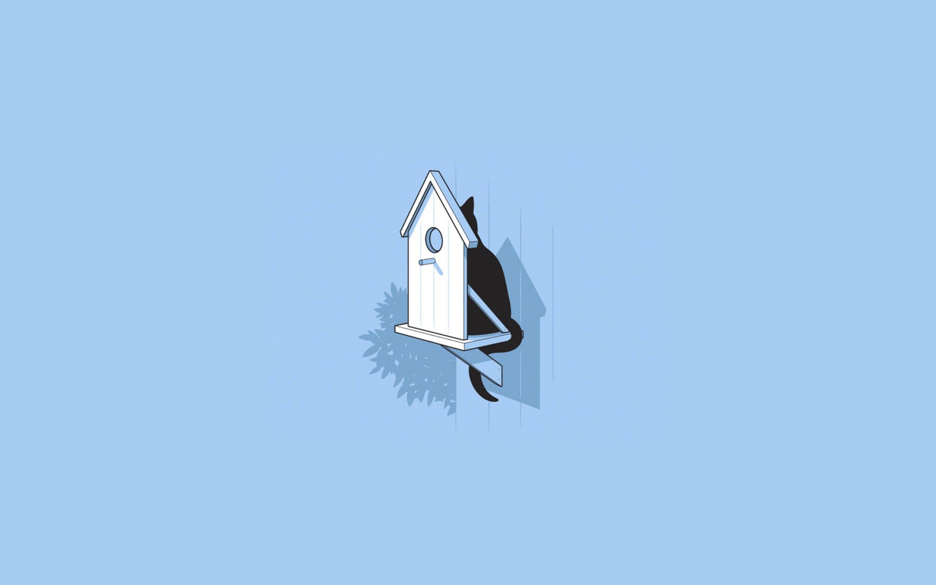 gatto birdhouse caccia imboscata gatto minimalismo