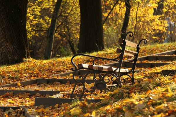 Panchina accanto alle scale nel parco autunnale