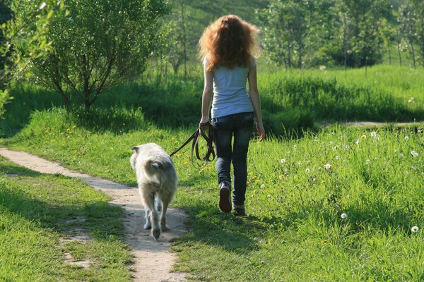 Ragazza con cane. Passeggiata nel bosco