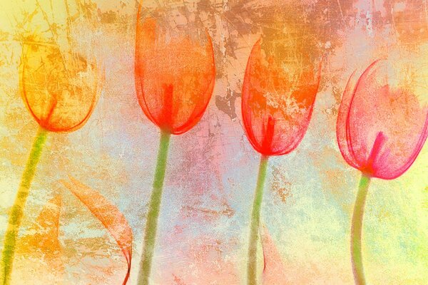 Texture a forma di tulipano colore dell umore