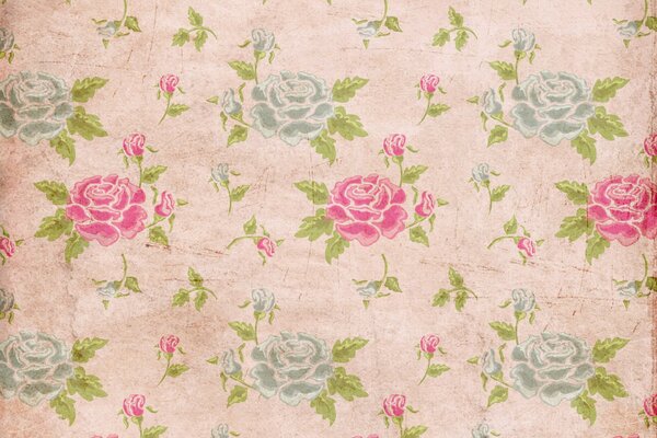 Carta da parati vintage con rose rosa e blu