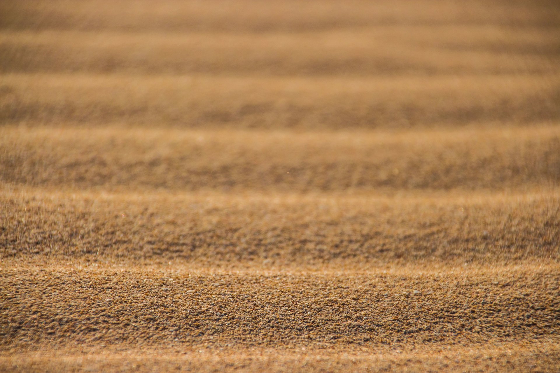 deserto sabbia trama