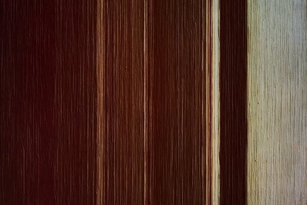 Sfondo con diverse venature del legno