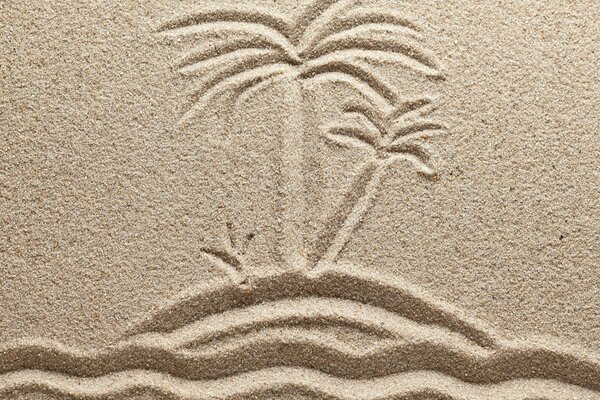 Palme e mare. Disegno sulla sabbia
