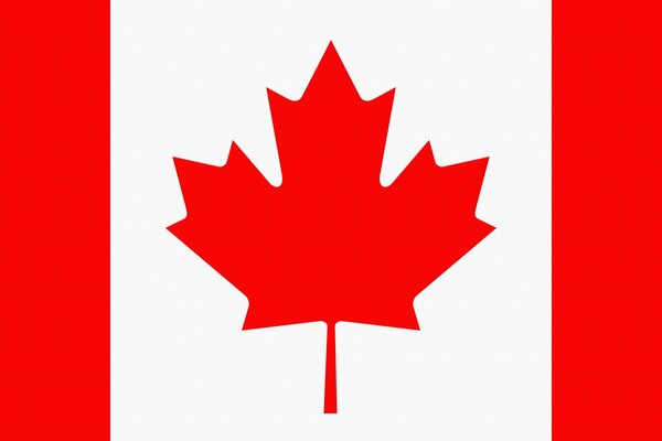 Bandiera del Canada con foglia d acero