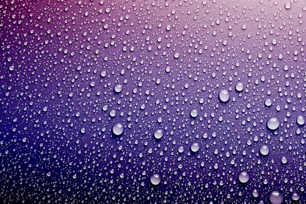 Gocce d acqua su sfondo viola