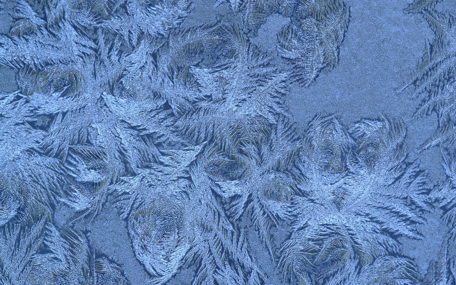 inverno fiocchi di neve modello