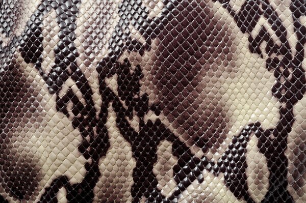 Trama sotto colorazione della pelle di serpente la trama animale più comune