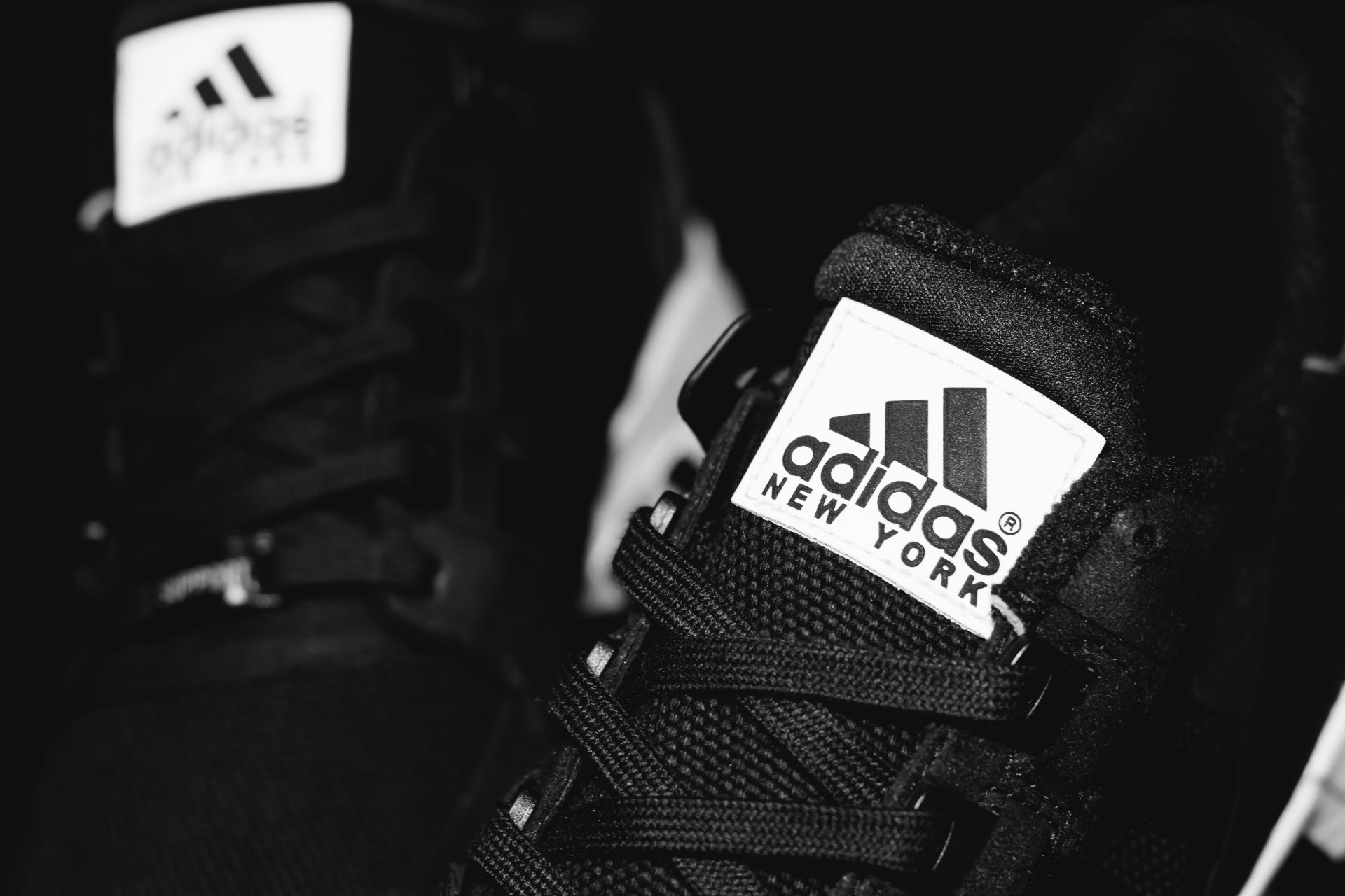 adidas eqt new york lacci delle scarpe