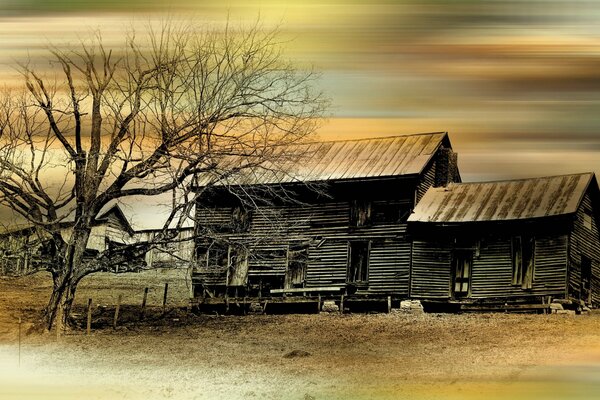 Paesaggio casa nel deserto