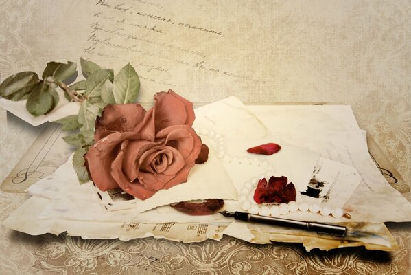 La rosa si trova sulla scrittura e sulle note