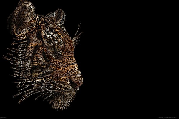 Foto di una tigre su sfondo nero