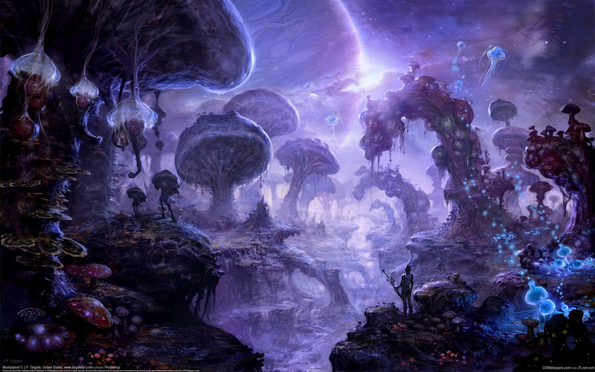 jp targete arte funghi