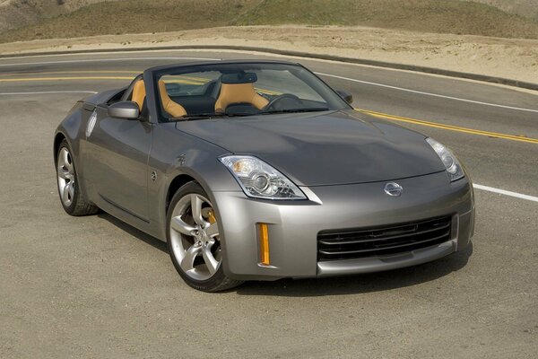 Nissan Silver Car si trova sulla strada