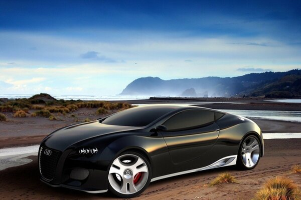 Audi sulla riva del fiume nel deserto