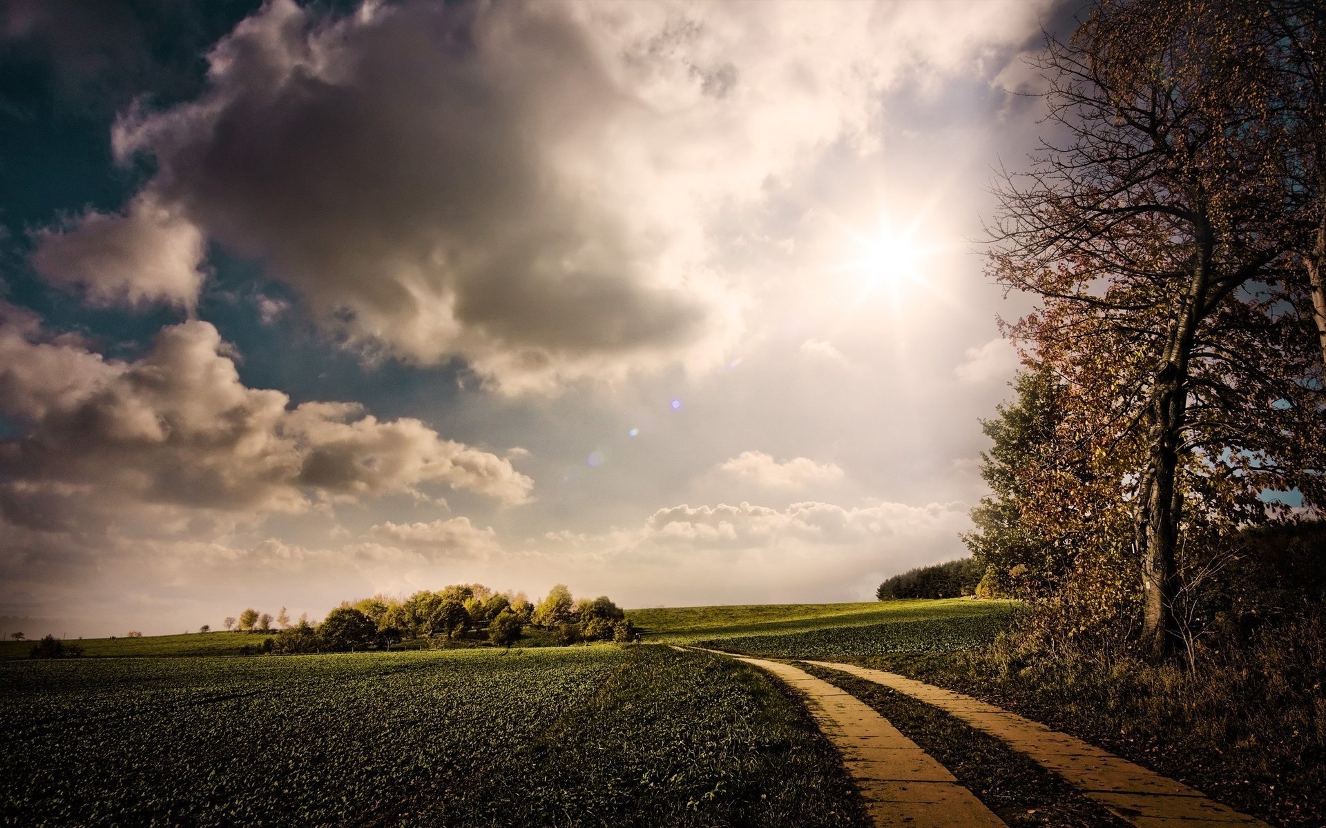 natura sentiero montagna cielo nuvole alberi