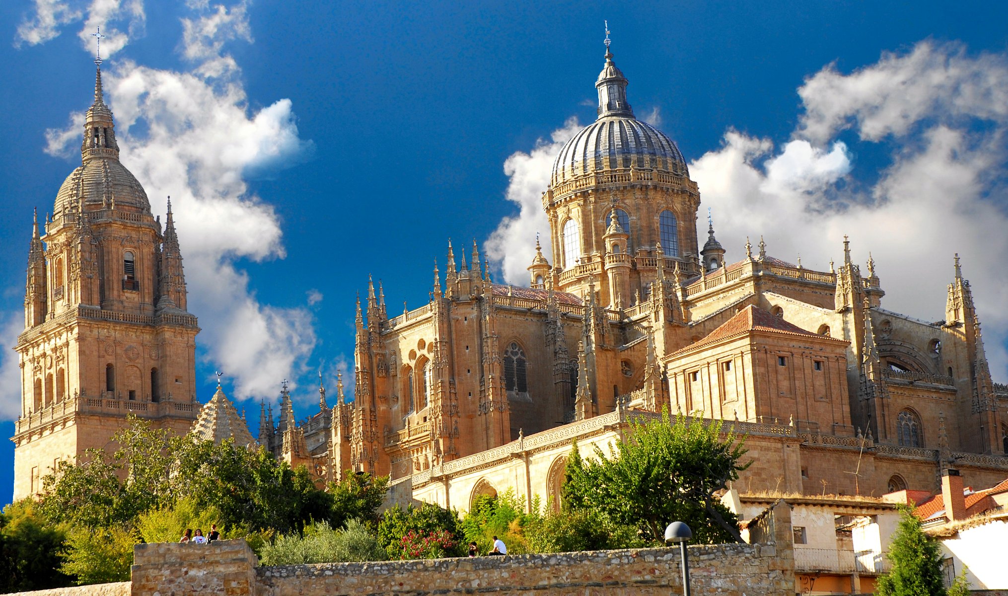 spagna españa salamanca cattedrale di salamanca cattedrale città gotico paesaggio architettura