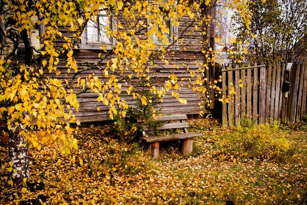 Vecchia casa sullo sfondo dell autunno dorato