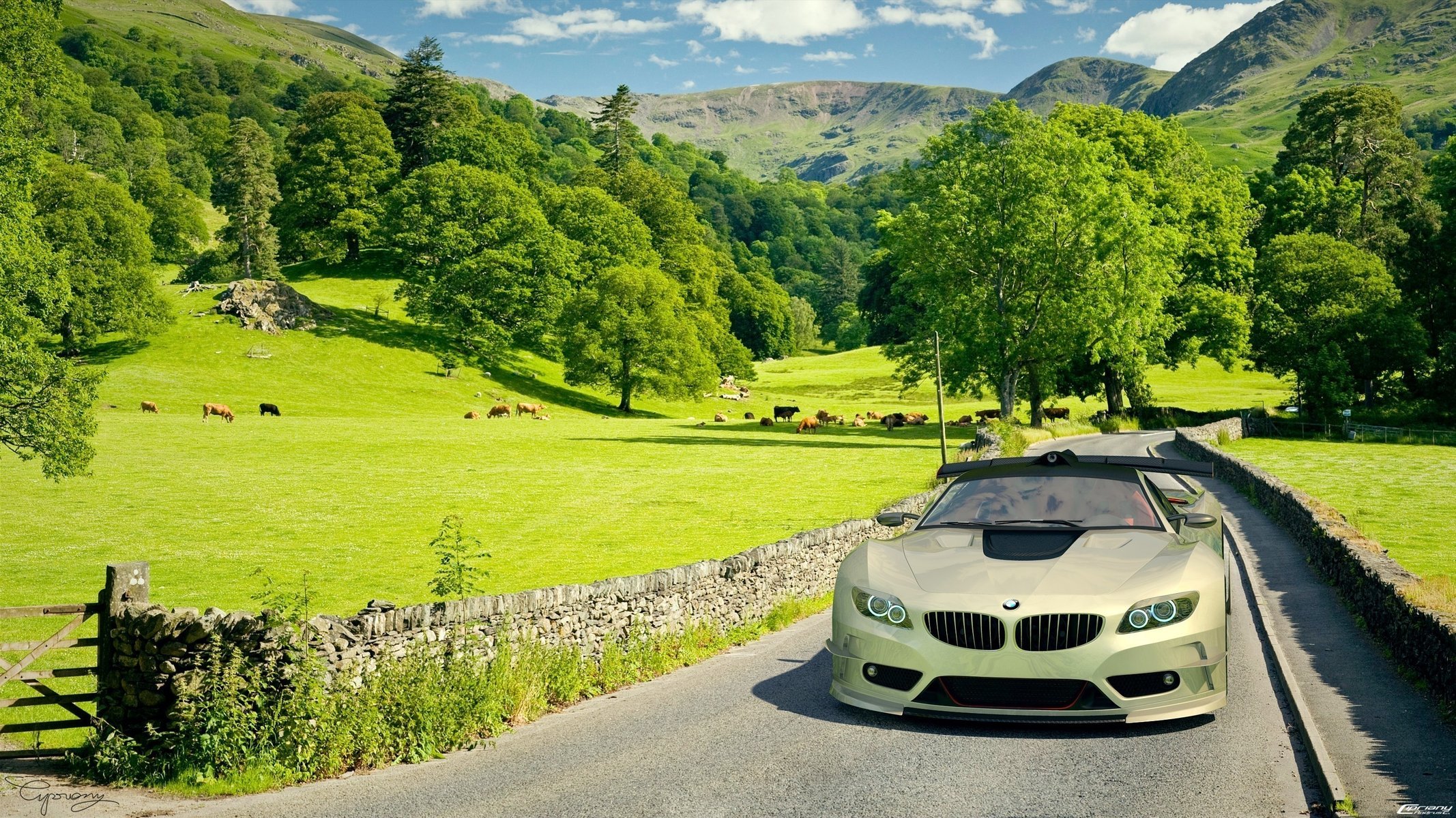 campo bmw auto auto auto bmw