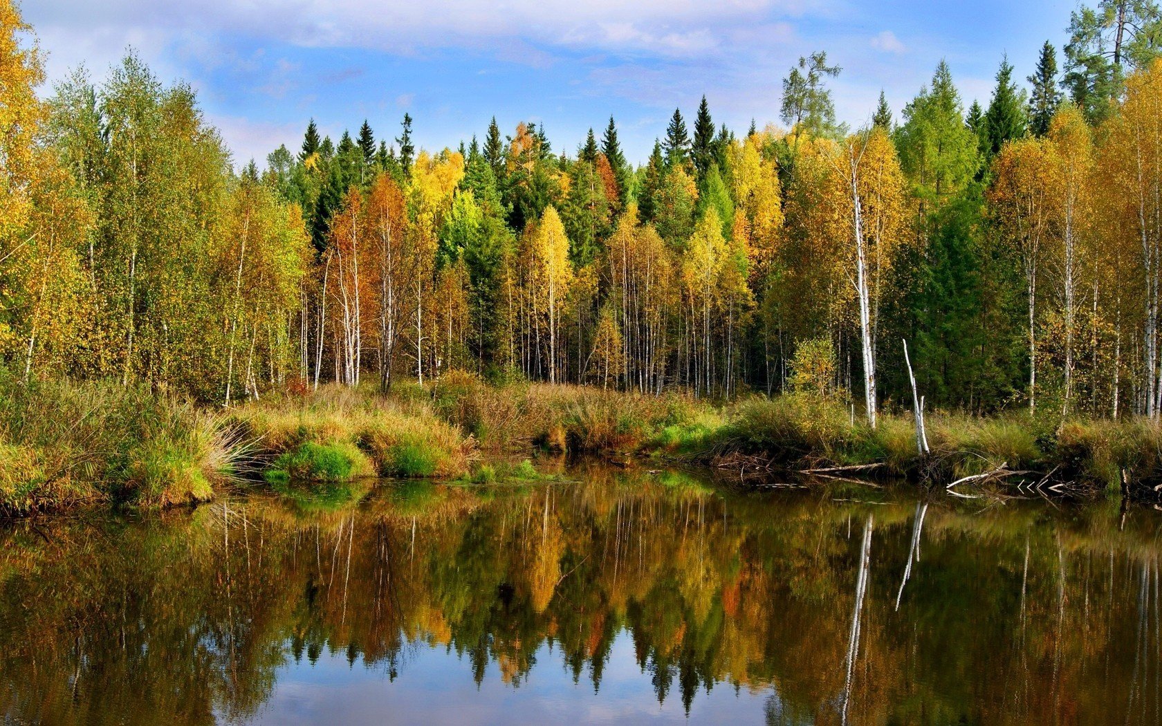 paesaggio autunno stagno foresta