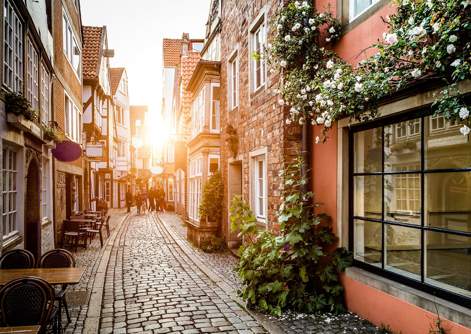 germania città strada case edifici finestre fiori strada finitrici tavoli persone
