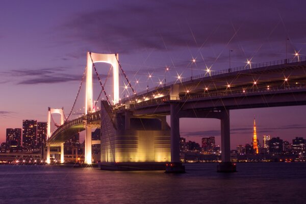La capitale del Giappone Tokyo alla luce delle lanterne notturne. Baia nell incandescenza delle nuvole viola