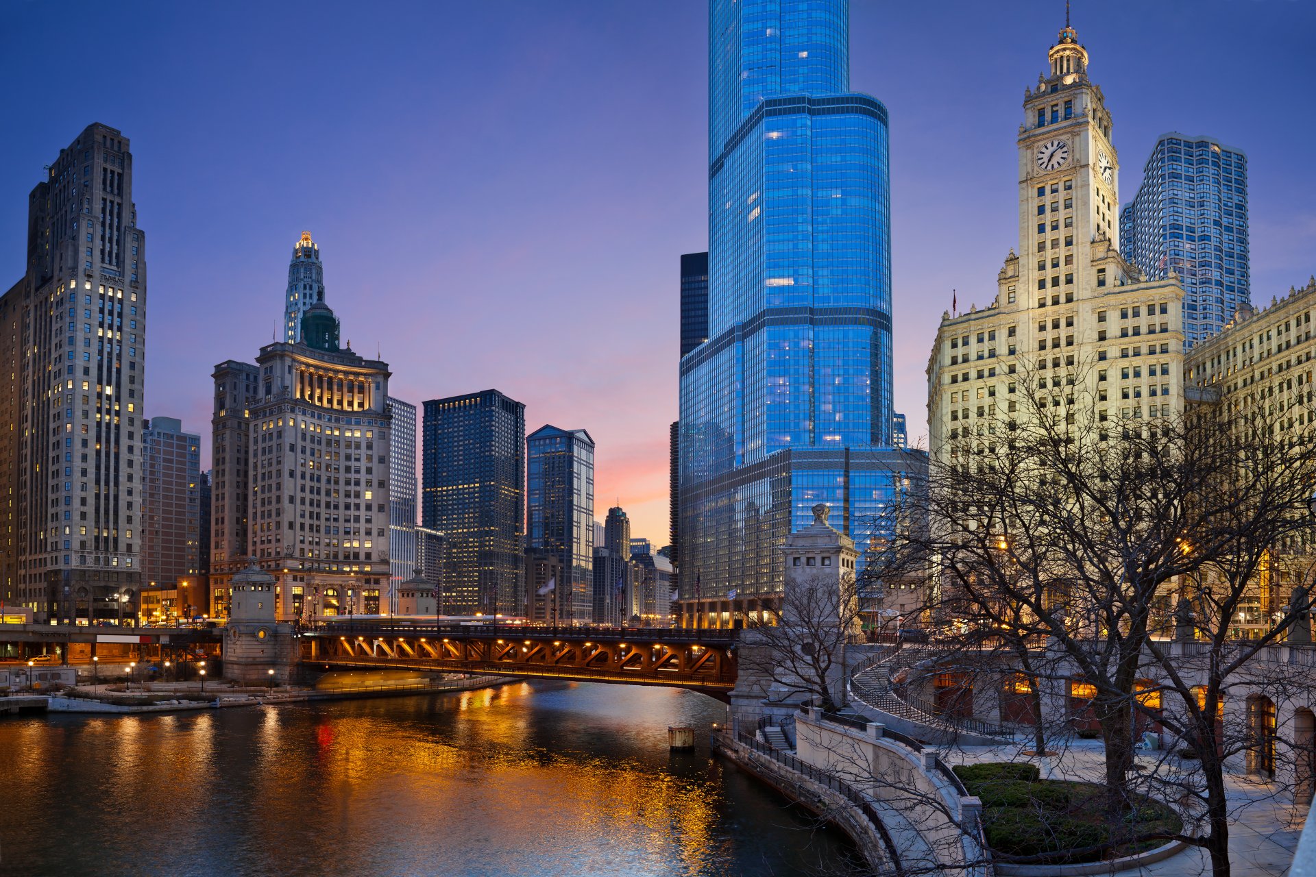 stati uniti illinois chicago notte luci parco lanterne mary barthelmy parco