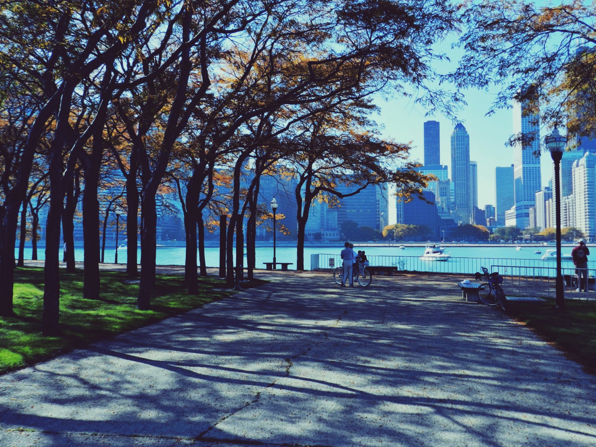 chicago grattacieli parco persone autunno