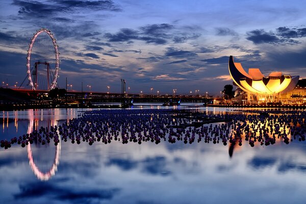 Vista serale della ruota panoramica a Singapore