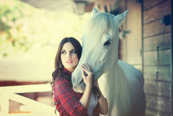 Ragazza che tiene il muso di un cavallo bianco